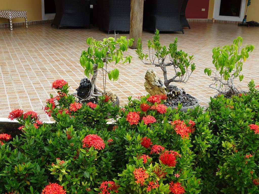 Bohol Sunside Resort Panglao-stad Buitenkant foto